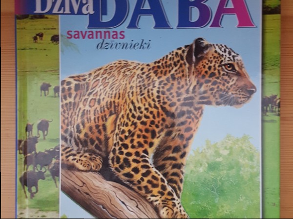 Dzīvā daba savannas dzīvnieki