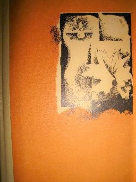 Raganas māju remontēs 