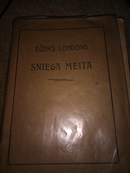 Sniega meita