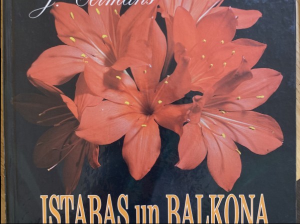 Istabas un balkona augi