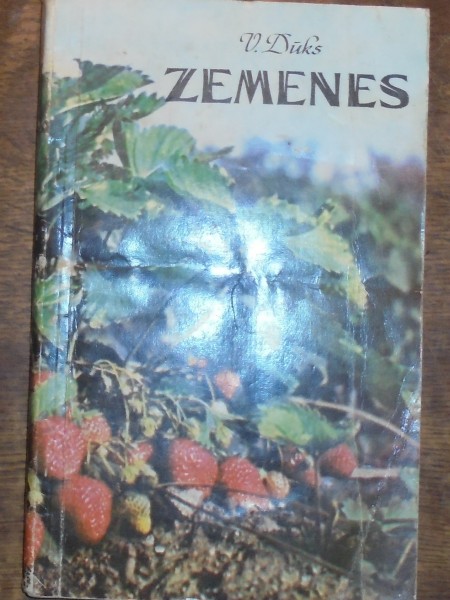 Zemenes