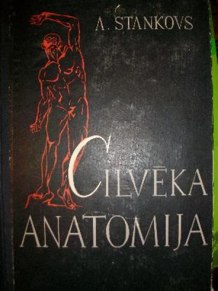 Cilvēka anatomija