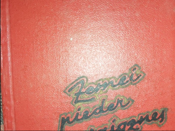 Zemei pieder zvaigznes