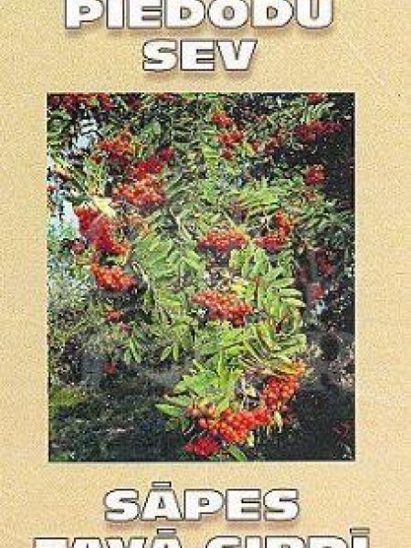 Piedodu sev. Sāpes tavā sirdī 