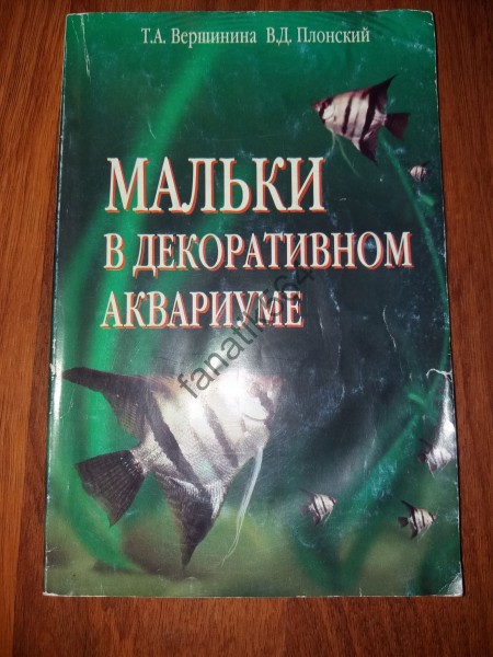 Мальки в декоративном аквариуме 