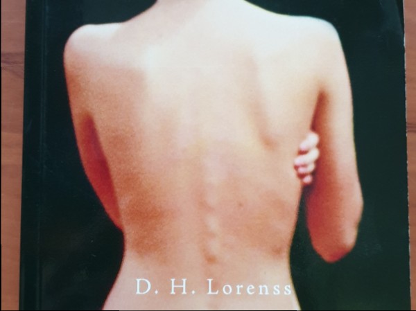 Lēdijas Čatarlejas mīļākais