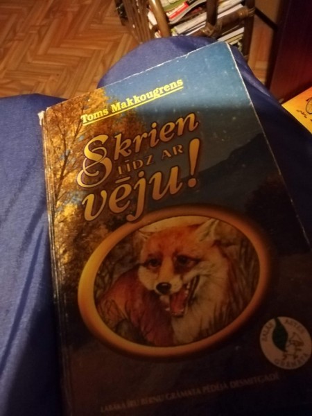 Skrien līdz ar vēju