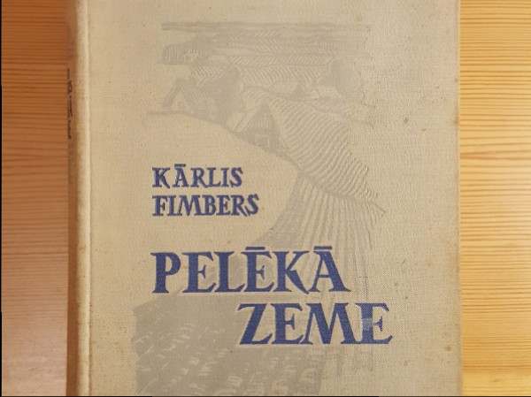 Pelēkā zeme