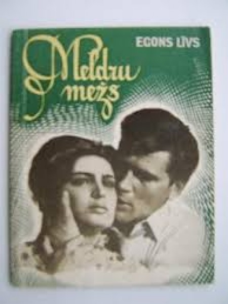 Meldru mežs : Kinostāsts