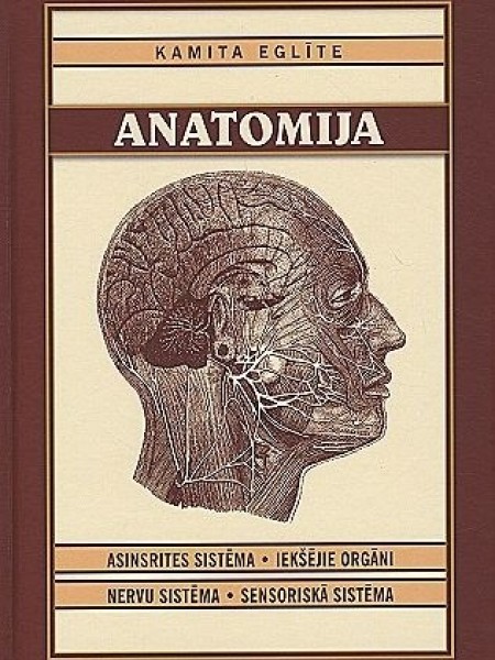 Anatomija. 2. daļa. 