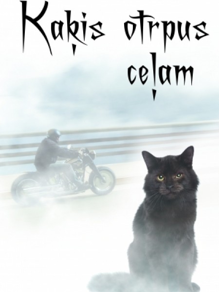 Kaķis otrpus ceļam