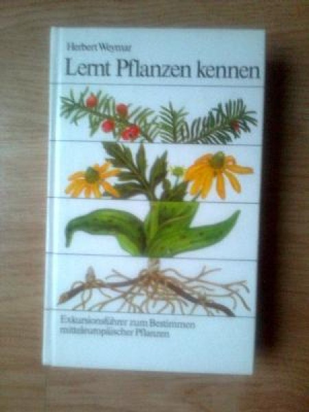 Lernt Pflanzen kennen