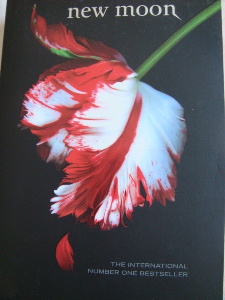 New Moon