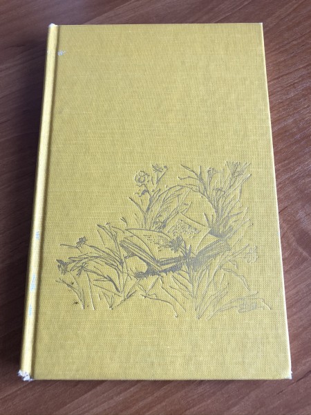 Ne bungas, ne trompetes