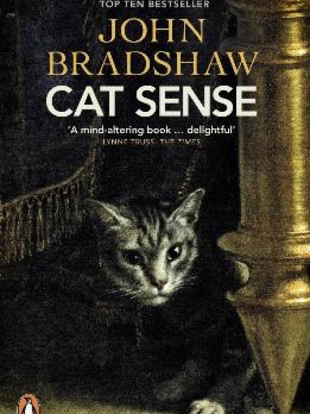 Cat Sense: The Feline Enigma Revealed