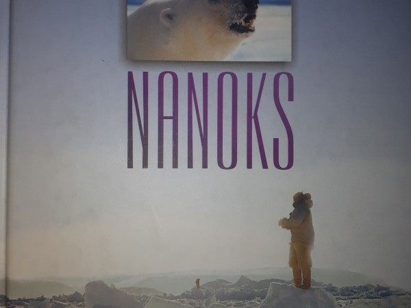 Nanoks