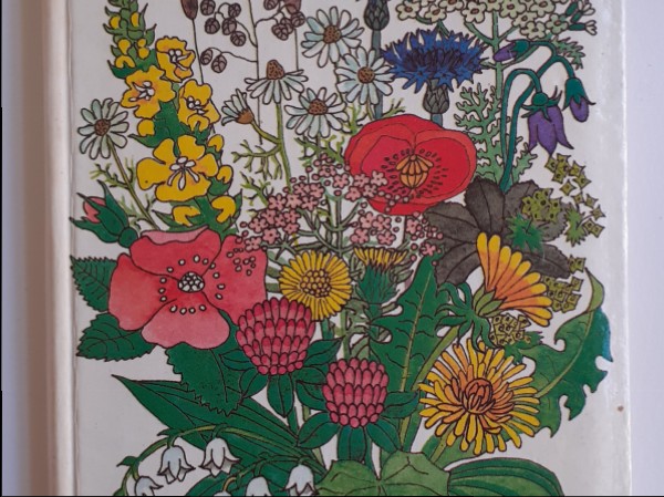 Veselīgas zāļu tējas