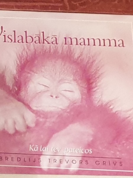 Bredlijs Trevors Grivs