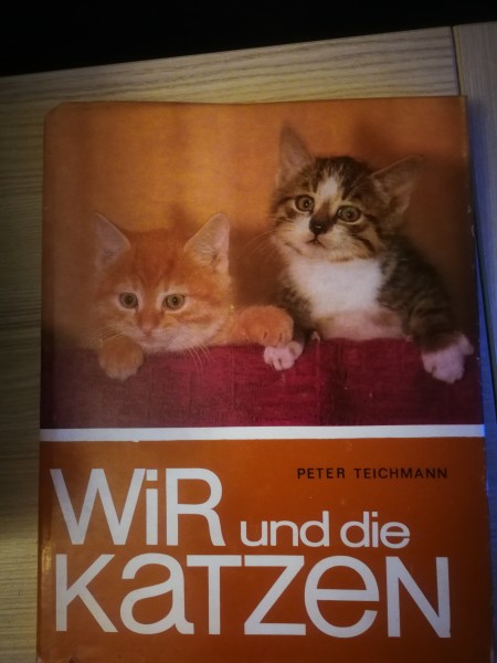 Wir und die Katzen