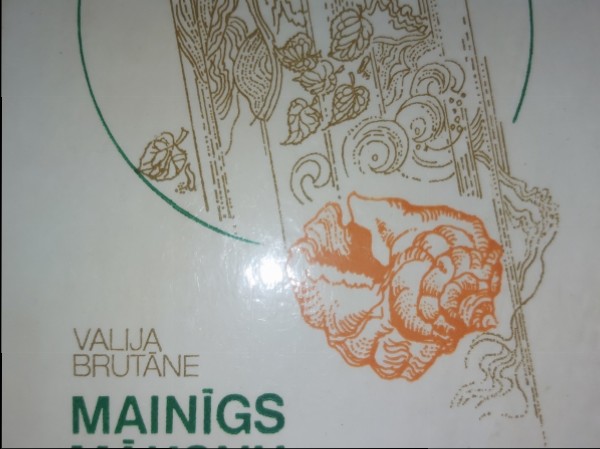 Mainīgs mākoņu daudzums