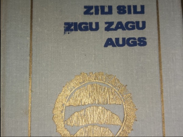 Zili sili zigu zagu augs