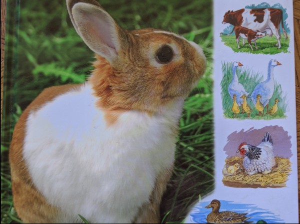 Dzīvnieki lauku sētā