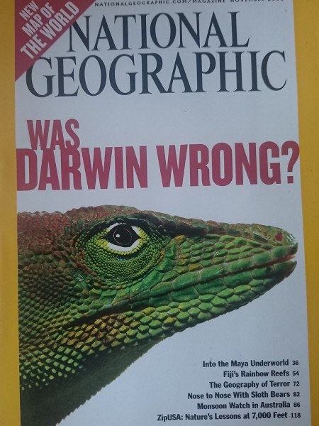 National Geographic, 2004, November