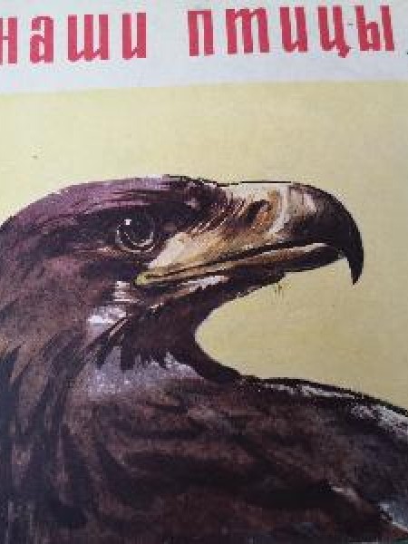 Наши птицы