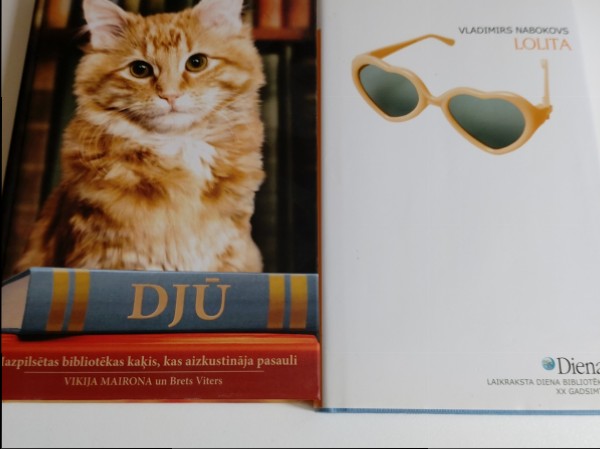 Djū mazpilsētas bibliotēkas kaķus,kas aizkustināja pasauli