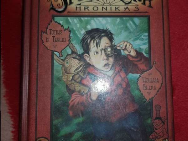 Spaidervikas Hronikas skatakmens