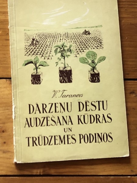 Dārzeņu dēstu audzēšana Kūdras un trūdzemes podiņos