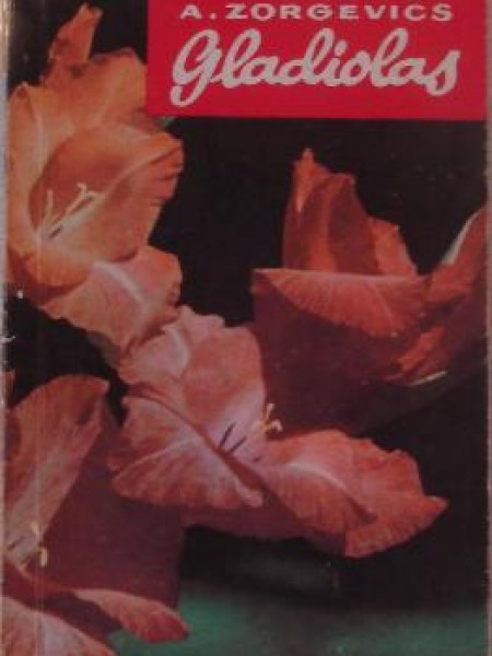 Gladiolas 