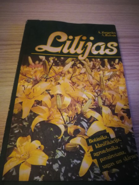Lilijas