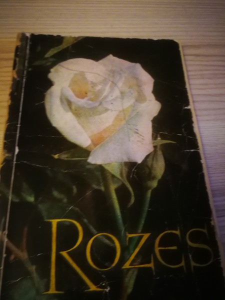 Rozes