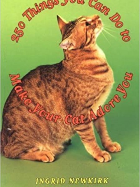 250 Things You Can Do to Make Your CAT Adore You