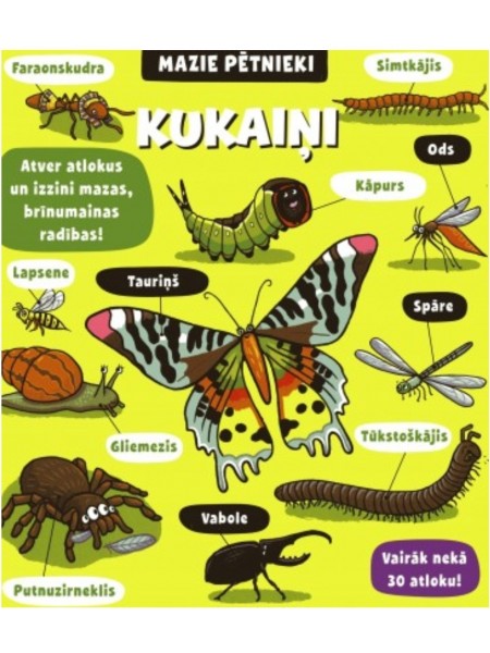 Mazie pētnieki - Kukaiņi