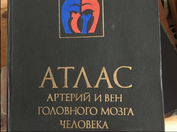 Атлас Артепий и вен головного мозга человека