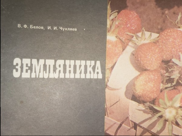 Земляника