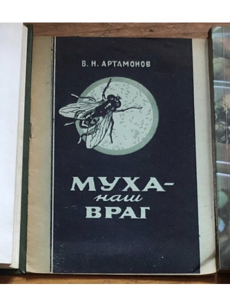Муха - наш враг