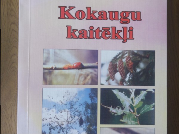 Kokaugu kaitēkļi