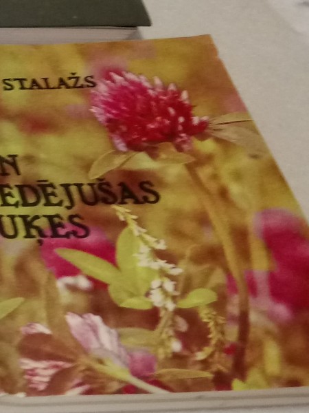 Sen ziedējušas puķes