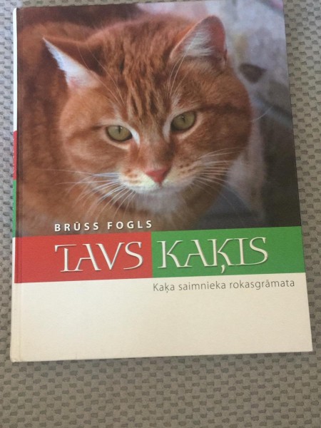 Tavs kaķis