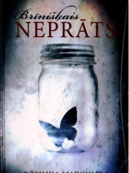 Brīnišķais neprāts