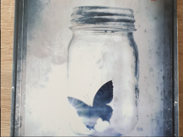 Brīnišķais neprāts