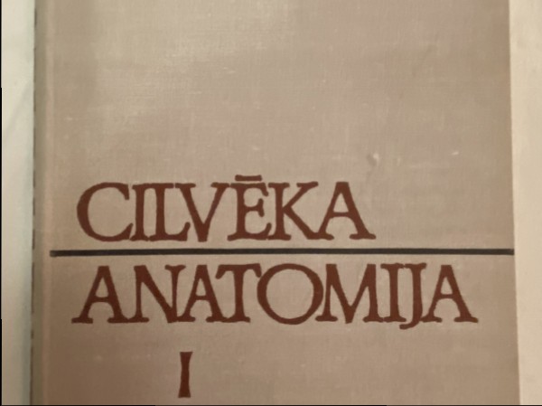 Cilvēka anatomija 1. daļa