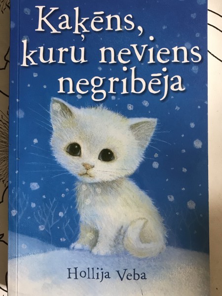 Kaķēns, kuru neviens negribēja