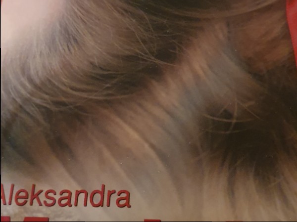 Vuentulības gaidojošie suņi