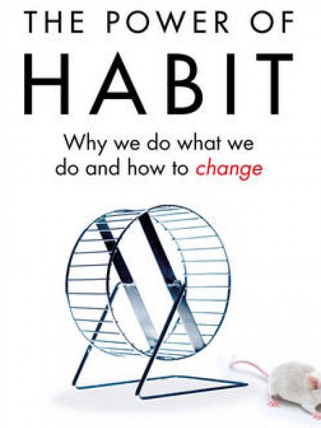 The power of habit: Why We Do What We Do in Life and Business