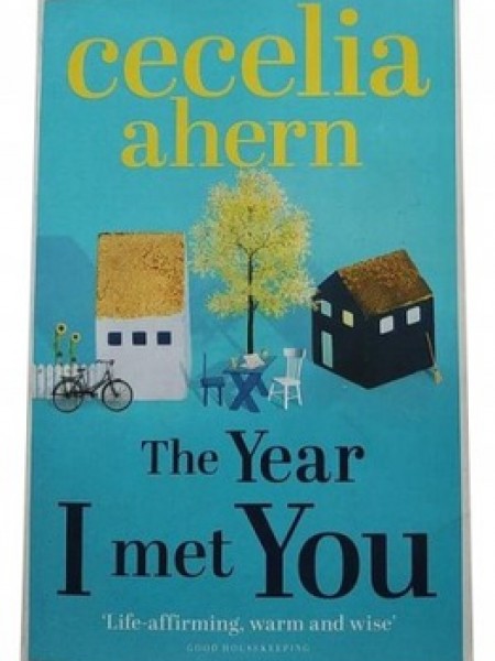 The Year I met You