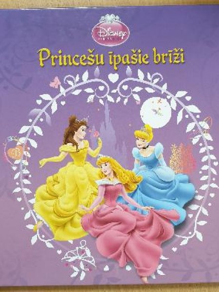 Princešu īpašie brīži